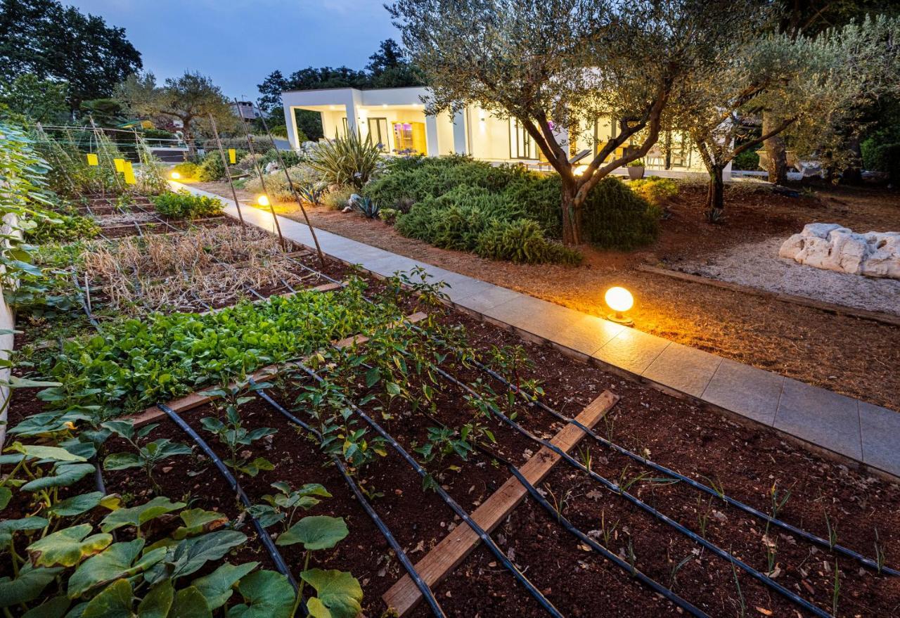 Goldimare Garden Residence Umag Bagian luar foto